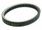 Variator belt ATHENA PLATINUM