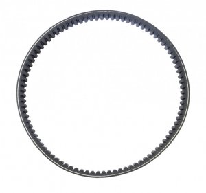 Variator belt ATHENA PLATINUM